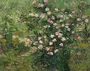 Vincent Van Gogh Roses oil